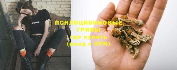 кокс Дмитровск