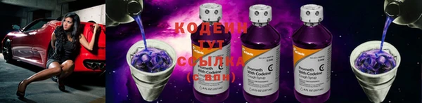 дмт Дмитриев