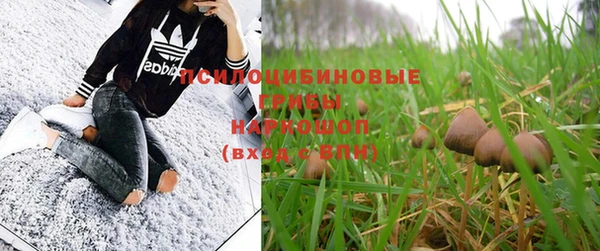 кокс Дмитровск