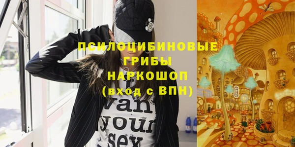 дмт Дмитриев
