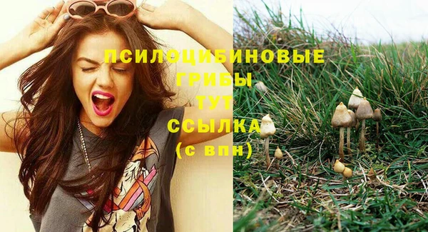 a pvp Дмитров