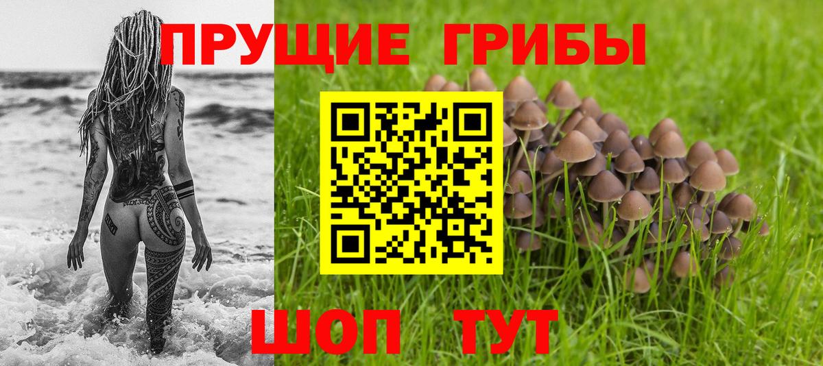Псилоцибиновые грибы мухоморы  Вход с VPN  что такое наркотик  Назарово  Галлюциногенные грибы MAGIC MUSHROOMS 