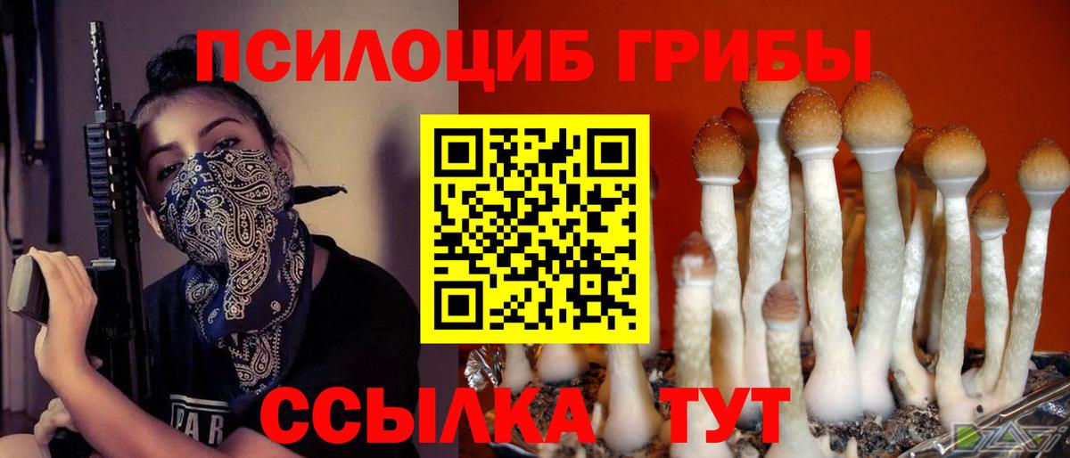 Галлюциногенные грибы GOLDEN TEACHER Назарово