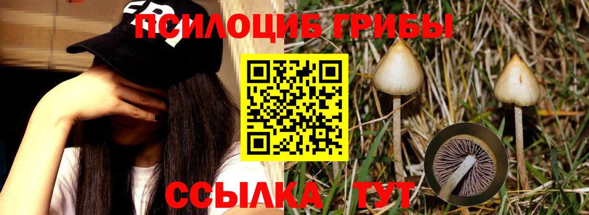 Псилоцибиновые грибы ЛСД Назарово